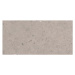 Dlažba Pastorelli Biophilic grey 60x120 cm mat P009415