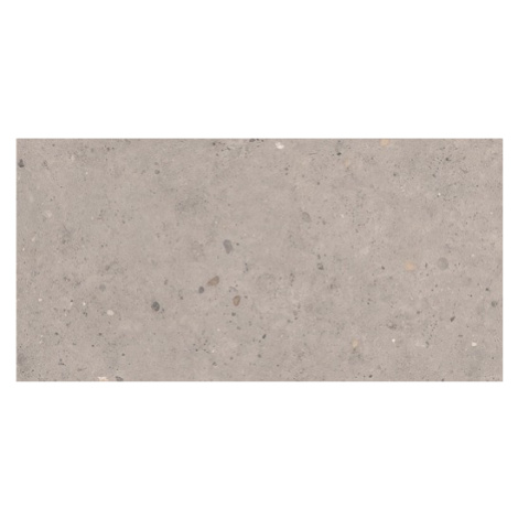 Dlažba Pastorelli Biophilic grey 60x120 cm mat P009415