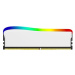 Kingston Fury Beast RGB SE KF436C17BWA/8 Bílá