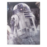 Obraz na plátně Star Wars The Last Jedi - R2 - D2 Droid, 2 - 60×80 cm