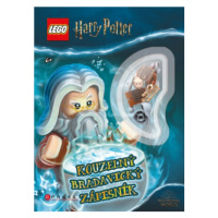 LEGO® Harry Potter™ Kouzelný bradavický zápisník (Defekt)