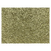 Vopi koberce Kusový koberec Udine zelený - 80x150 cm
