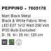 NOVA LUCE závěsné svítidlo PEPPINO matný černý kov černá a bílý kabel E27 1x12W 7605178