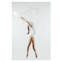 Fotografie Young ballet dancer is posing at the studio, CoffeeAndMilk, (26.7 x 40 cm)