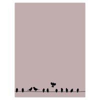 Ilustrace Birdwire, Finlay & Noa, (30 x 40 cm)