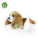 Plyšový pes Cavalier King Charles španěl ležící, 30 cm ECO-FRIENDLY