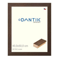 DANTIK rámeček 40 × 50, RETRO hnědý sklo čiré