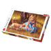TREFL PUZZLE Obraz holčička s kočkou skládačka 48x34cm 500 dílků