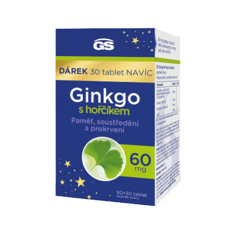 GS Ginkgo 60 mg s hořčíkem 90+30 tablet Green Swan