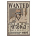 Plakát, Obraz - One Piece - Wanted Ace, (61 x 91.5 cm)