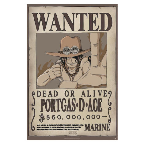 Plakát, Obraz - One Piece - Wanted Ace, (61 x 91.5 cm) GB Eye