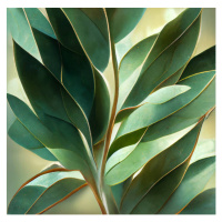 Fotografie Texture Of Green Eucalyptus Leaves, Nenov, 40 × 40 cm