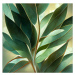 Fotografie Texture Of Green Eucalyptus Leaves, Nenov, 40 × 40 cm