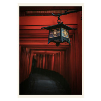 Fotografie Golden Lantern, Fadil Roze, 26.7 × 40 cm