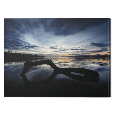 Obraz na plátně Marina Cano - Beach Reflection, (80 x 60 cm) Pyramid