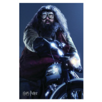 Umělecký tisk Harry Potter - Hagrid, 26.7x40 cm
