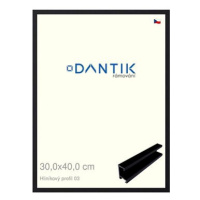 DANTIK rámeček 30 × 40, ALU profil 7003 Černý matný plexi čiré