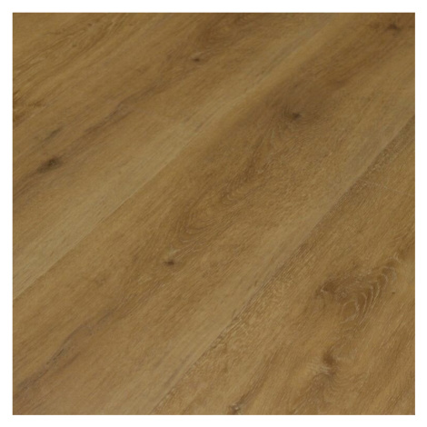 Contesse Vinylová podlaha kliková Click Elit Rigid Wide Wood 23322 Natural Oak Plain  - dub - Kl