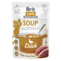 Brit Care Soup pro kočky 15 x 75 g - Kachní