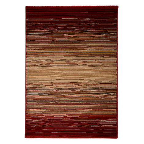 Spoltex koberce Liberec Kusový koberec Cambridge red/beige 5668 - 200x290 cm