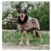 Ochranná pláštěnka pro psy Paikka - leopardí Velikost: 20