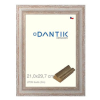 DANTIK rámeček 21 × 29,7, LYON šedý sklo čiré