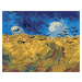 Malování podle čísel - POLE S HAVRANY (VINCENT VAN GOGH) Rozměr: 40x50 cm, Rámování: vypnuté plá