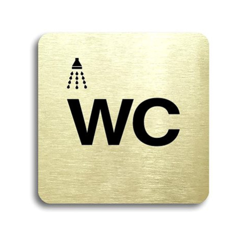 Accept Piktogram "sprcha, WC II" (80 × 80 mm) (zlatá tabulka - černý tisk bez rámečku)
