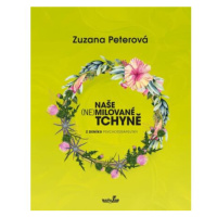 Naše (ne)milované tchyně - Z deníku psychoterapeutky