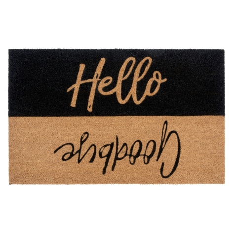 Hanse Home Collection koberce Rohožka Hello, goodbye 105709 - na ven i na doma - 45x70 cm