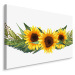 Plátno Slunečnice Se Zelenými Listy Varianta: 100x70