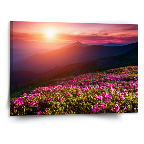 Obraz Rozkvetlá příroda - 150x110 cm