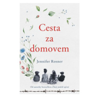 Cesta za domovem