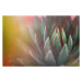 Fotografie Nature - Succulents - shades of green, Cavan Images, 40 × 26.7 cm