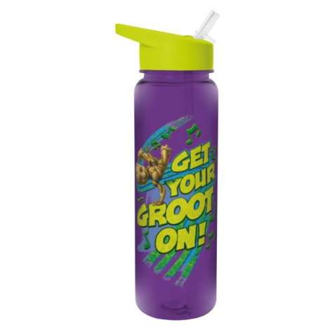 Láhev plastová Groot 700 ml Fialová Pyramid