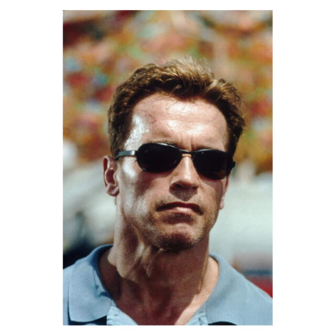 Plakát, Obraz - Arnold Schwarzenegger, Collateral Damage 2001, 26.7 × 40 cm