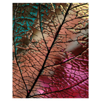 Fotografie Glass Leaf, Ivan Lesica, 30 × 40 cm