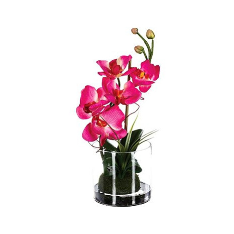 Atmosphera Růžová orchidej ve skleněné váze, výška 37 cm