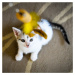 Akinu udice pro kočky s pírky set barevný s korkem 90cm