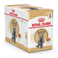 Royal Canin Cat British Shorthair - 12x85g