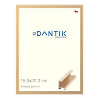 DANTIK rámeček 15 × 20, ALU profil 6001 Zlatý lesklý sklo čiré