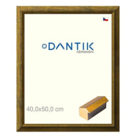 DANTIK rámeček 40 × 50, Forgia Gold plexi čiré