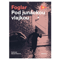 Pod junáckou vlajkou