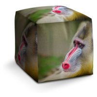 Sablio Taburet Cube Mandril: 40x40x40 cm