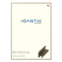 DANTIK rámeček 29,7 × 42, ALU profil 6030 champagne plexi čiré