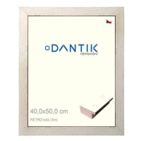 DANTIK rámeček 40 × 50, RETRO bílý plexi čiré