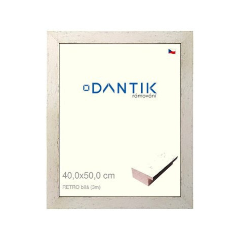 DANTIK rámeček 40 × 50, RETRO bílý plexi čiré