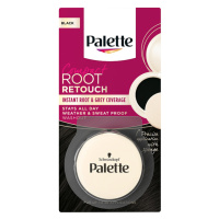 Palette Compact Root Retouch víceúčelový kompaktní pudr Černý 3g
