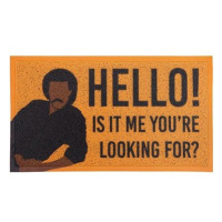 Artsy Mats Rohožka Hello! (Is it me you're looking for) 40 × 70 cm