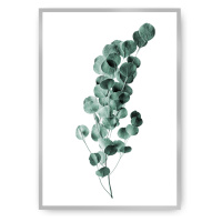 Dekoria Plakát Eucalyptus Emerald Green, 70 x 100 cm, Ramka: Srebrna